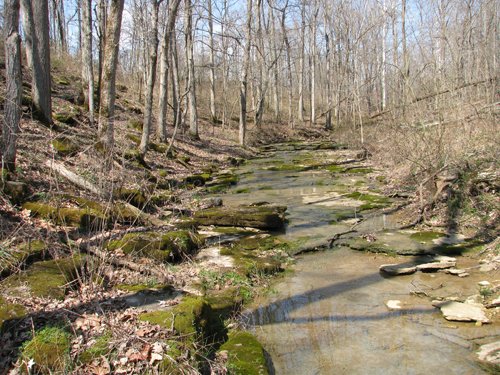 Property photo 51 - 137 Acres in 2 Tracts - 64 Tillable Acres, Potential Building Sites, Hunting